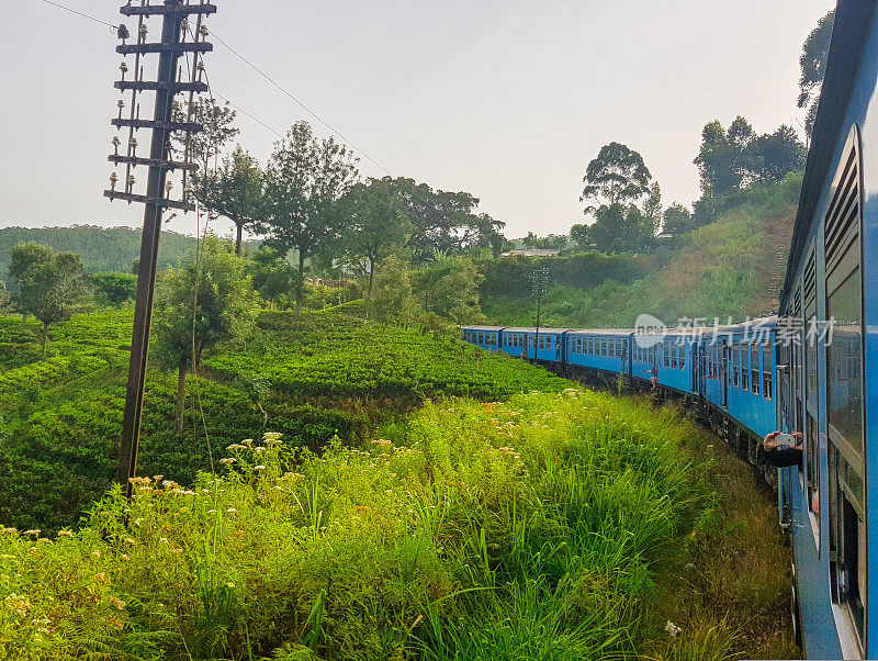 在斯里兰卡的火车旅行通过茶叶种植园Ella, Nuwara Eliya和Kandy